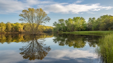 bob jones nature center and preserve