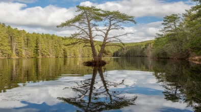 cypress waters