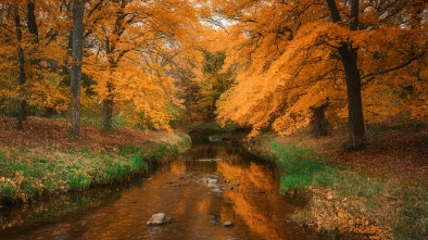 spring creek forest preserve